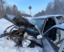 Устанавливаются обстоятельства ДТП в Медведевском районе